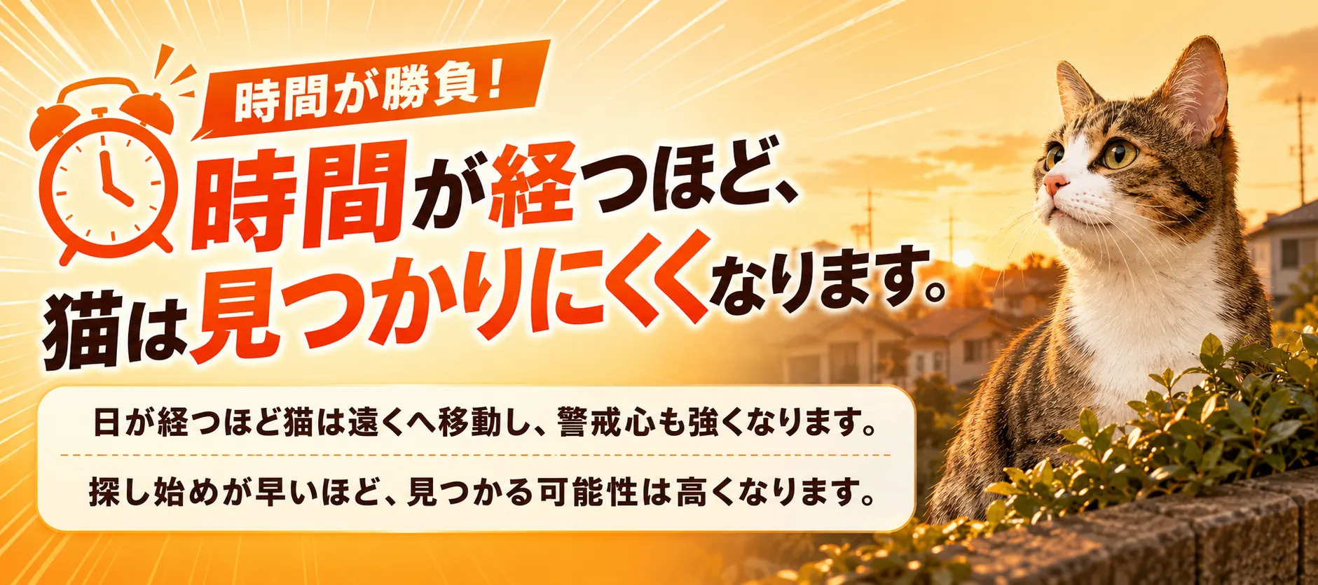 時間が勝負。時間が経つほど、猫は見つかりにくくなります。日が経つほど猫は遠くへ移動し、警戒心も強くなります。探し始めが早いほど、見つかる可能性は高くなります。