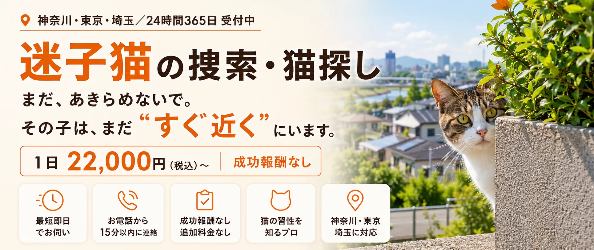 迷子猫の捜索・猫探し｜まだあきらめないで。その子はまだすぐ近くにいます。神奈川・東京・埼玉／24時間365日受付・最短即日